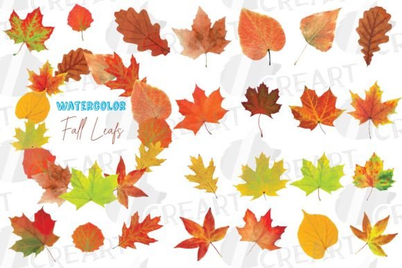 Colorful Autumn Leaves Printable Graphic: Graphics & Print Templates