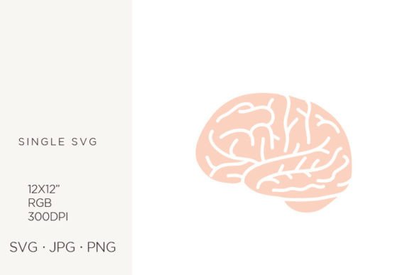 Human Brain Illustration